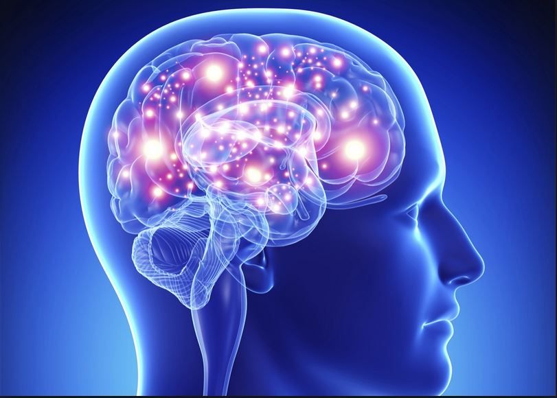 الامارات | هل يرث مرضى زرع الأعضاء شخصيات وذكريات المتبرعين؟