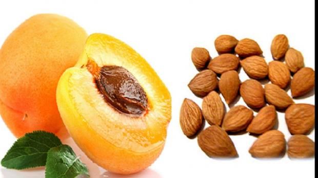 فوائد مذهلة لزيت بذور المشمش.. «علاج لأمراض الجسم»