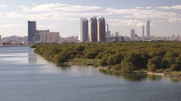 الإمارات تشهد منخفضاً جوياً سطحياً واحتمال سقوط أمطار