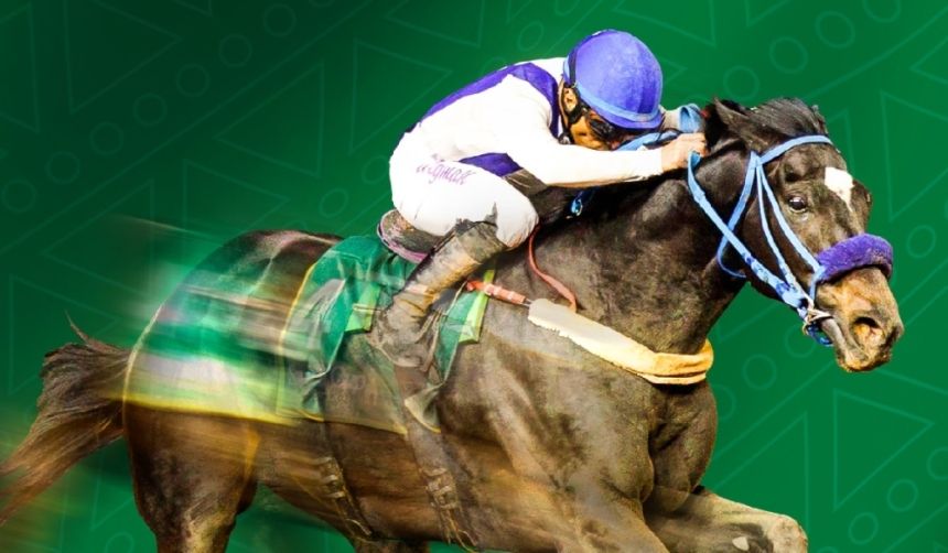 إقامة أولى سباقات الخيل الكبرى على كأسي ولي العهد برعاية سموه