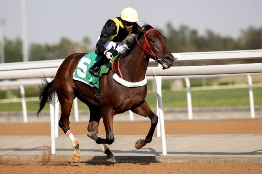 إقامة أولى سباقات الخيل الكبرى على كأسي ولي العهد برعاية سموه