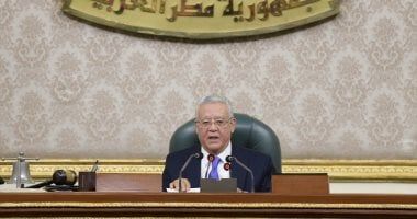 رسالة من رئيس النواب للمعترضين على وقف الدعم بسبب ختان الإناث والزواج المبكر