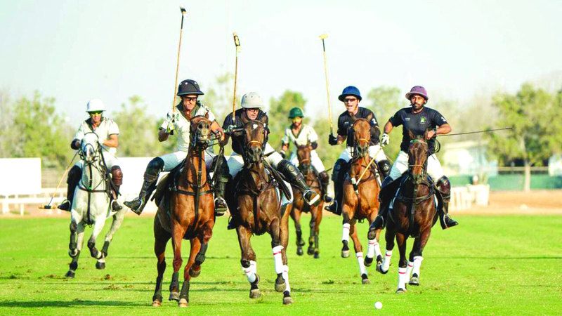 الامارات | مباراتان في كأس  سلطان بن زايد للبولو اليوم