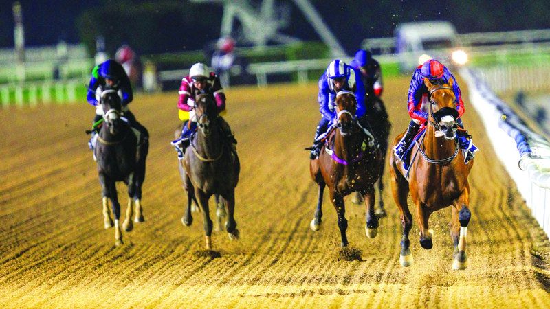 الامارات | «إمبريال أمبرور» يحلق بلقب «نخلة جبل علي» في ميدان