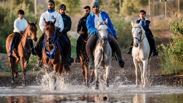 «براند دبي» تنظم فعاليات مجتمعية وإبداعية بمهرجان «شتانا في حتا»
