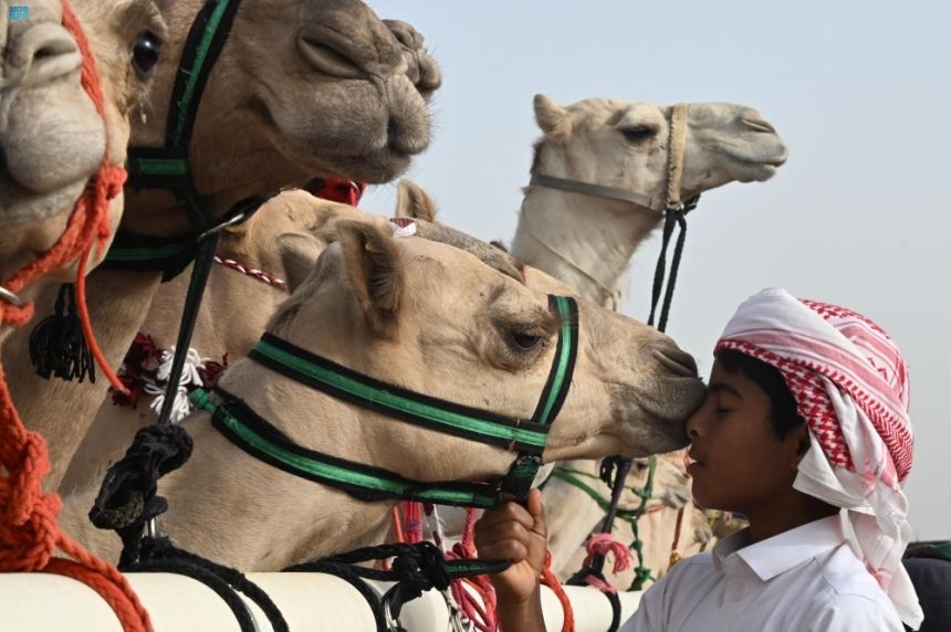 مهرجان الإبل يعزز الاستدامة البيئية بالعناية بـ 1244 شجيرة ونخلة