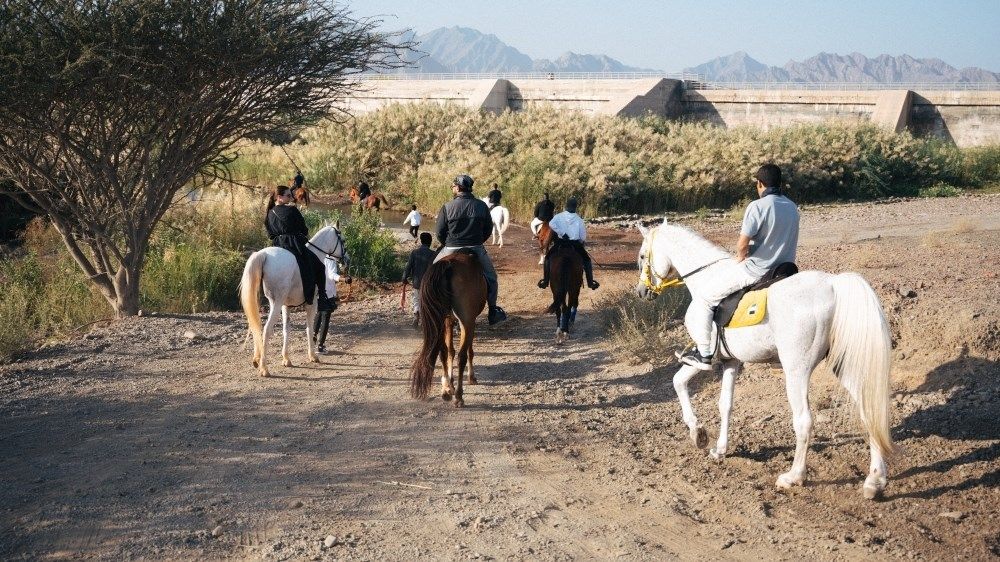 «براند دبي» تنظم فعاليات مجتمعية وإبداعية بمهرجان «شتانا في حتا»