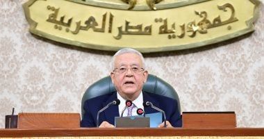 مجلس النواب يوافق على قانون الضمان الاجتماعى فى المجموع