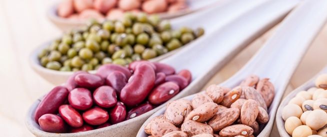 الامارات | مصادر مثالية للبروتين النباتي