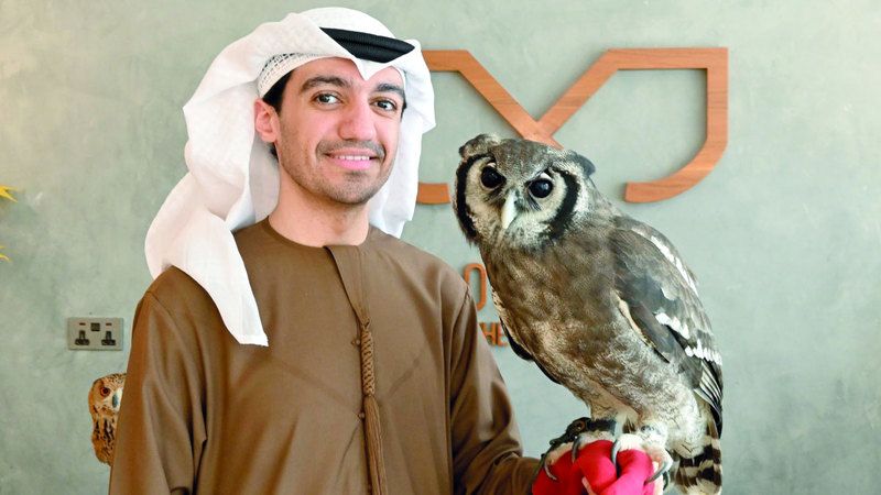 الامارات | مقهى إماراتي يعقد صداقة  بين روّاده و«الطائر المتهم بالنحس»
