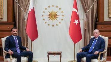 الخليج اليوم .. أمير دولة قطر والرئيس التركي يبحثان القضايا الإقليمية والدولية