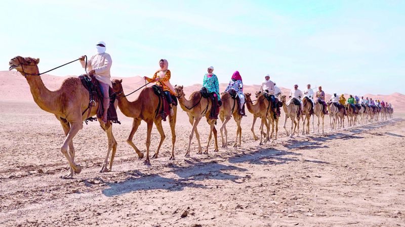 الامارات | رحلة الهجن في الدرب إلى المحطة الأخيرة.. على ظهر المطية