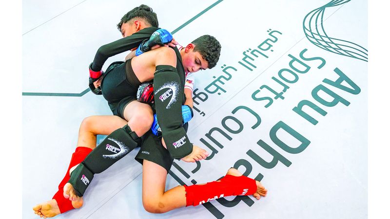 الامارات | «الفنون القتالية المختلطة» تنطلق في دبي السبت بمشاركة 100 لاعب