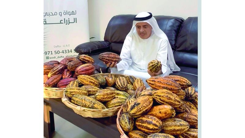 الامارات | مزرعة الكاكاو في الفجيرة.. تعكس قدرة المزارع الإماراتي على الابتكار