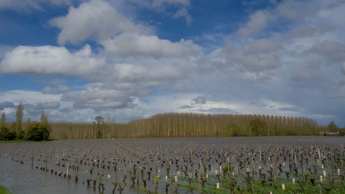 الامارات | «الأرصاد» يتوقع أمطاراً خفيفة حتى الإثنين