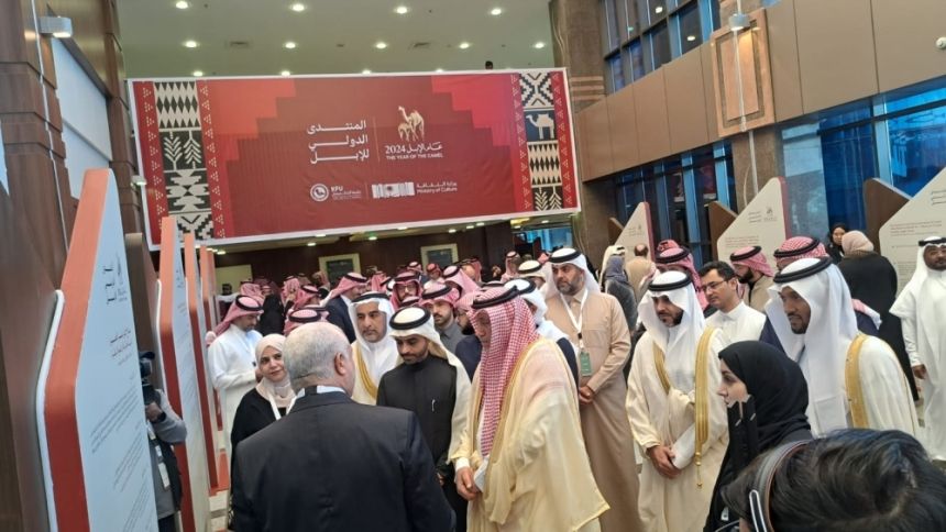 جينات ودواء وأزياء.. 9 أبحاث ومشروعات تبرز أهمية الإبل