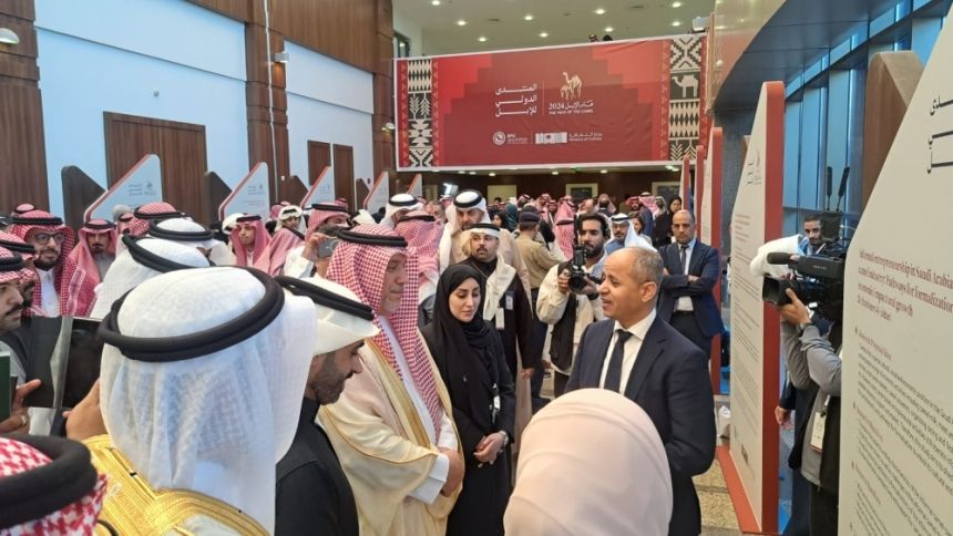 جينات ودواء وأزياء.. 9 أبحاث ومشروعات تبرز أهمية الإبل