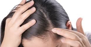 الامارات | نبات قديم يعزز نمو الشعر ويمنع تساقطه