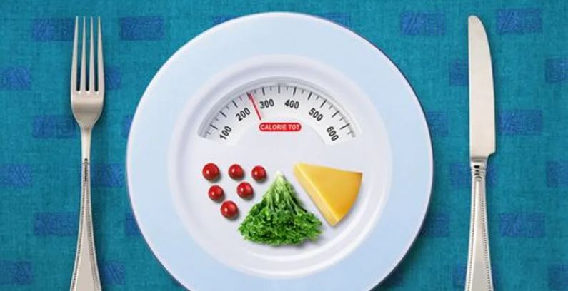 الامارات | كيف تبدو 100 سعرة حرارية في طعامنا؟