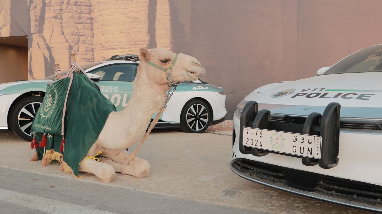 السعودية | الهجّانة” والمركبات الكهربائية.. التاريخ والمستقبل