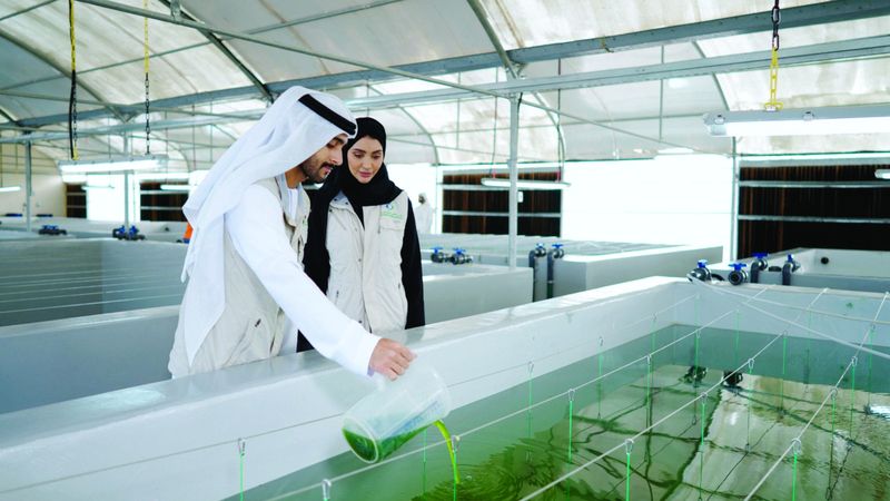الامارات | «بيئة أبوظبي» تنفذ مشروعاً لاستزراع لؤلؤ محار المياه العذبة