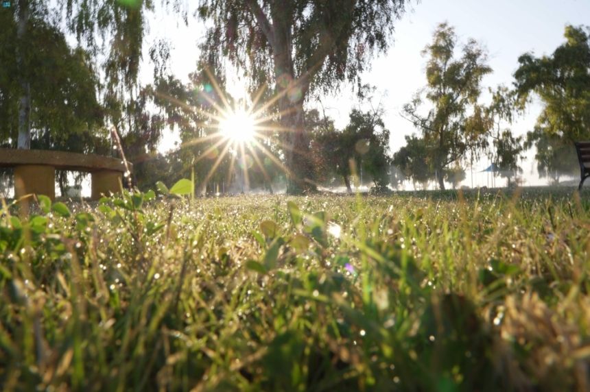 درجات حرارة صفرية.. موجة البرد القارسة تضرب رفحاء