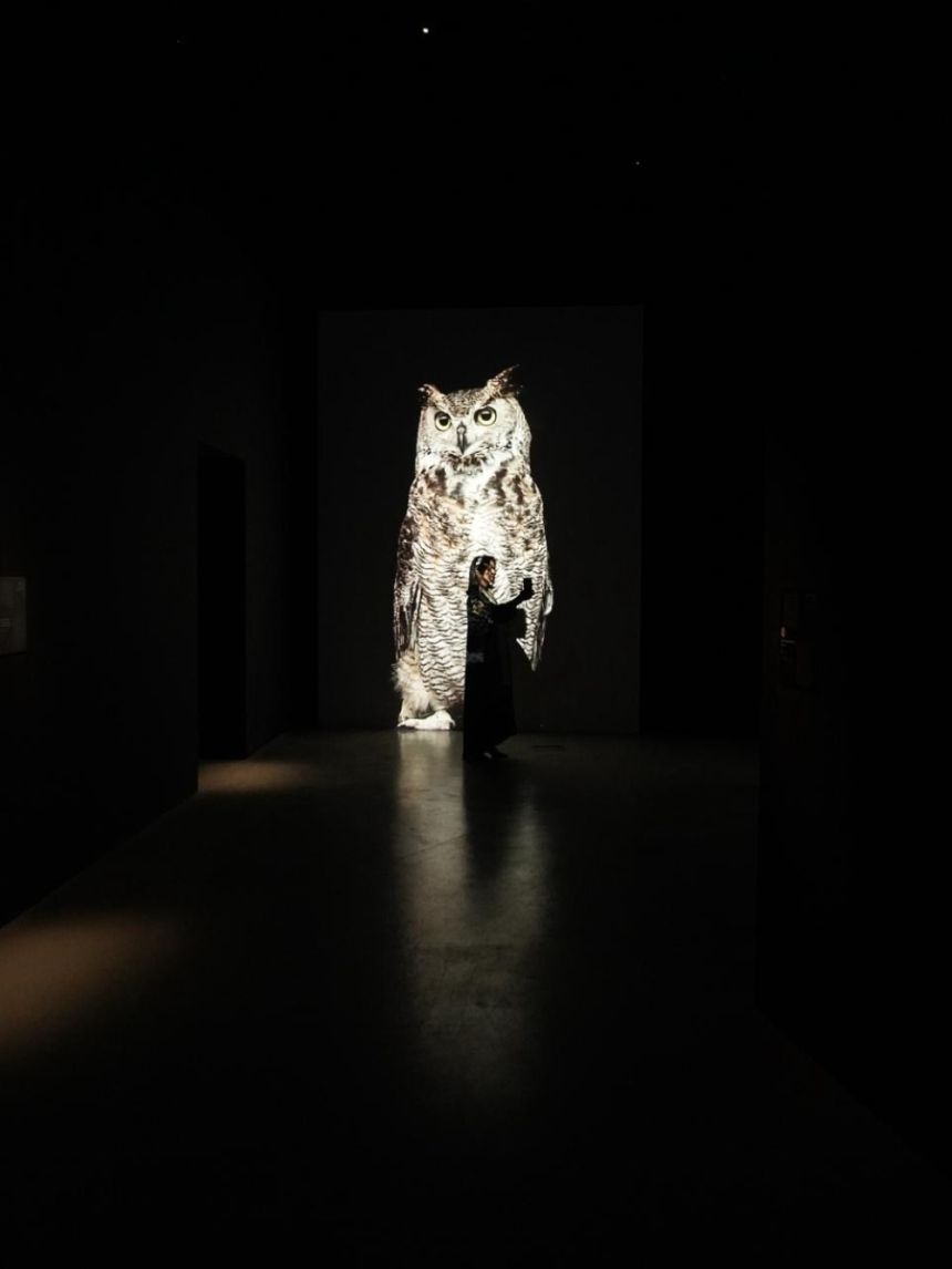 الاثنين المقبل.. مناقشات حول تعزيز دور المتاحف كمراكز اجتماعية