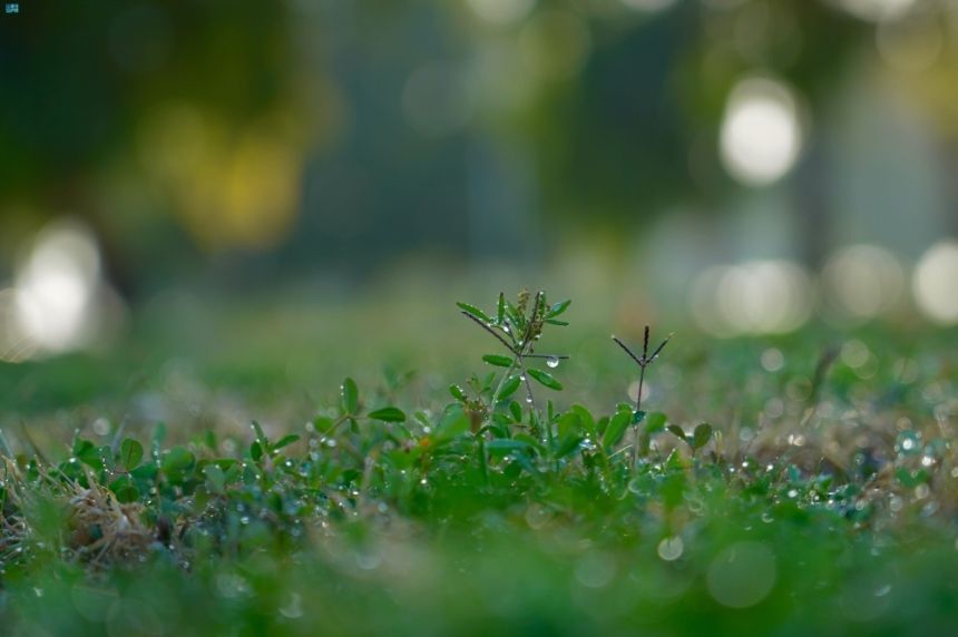 درجات حرارة صفرية.. موجة البرد القارسة تضرب رفحاء