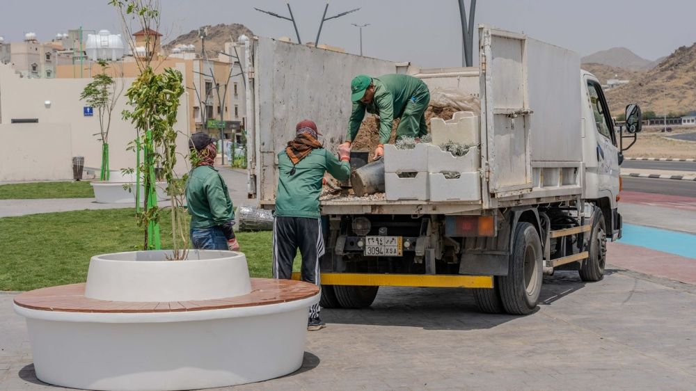 خطة زراعية شتوية.. 250 ألف شتلة تحسن جودة الحياة بالطائف