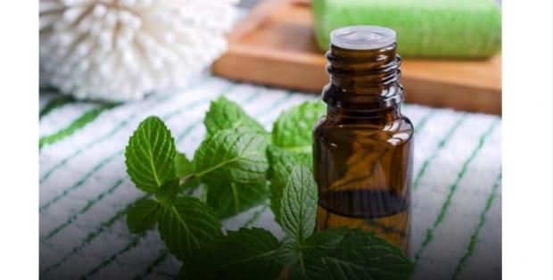 وصفة الخردل لشعر أكثر نعومة.. فروة صحية خالية من القشرة