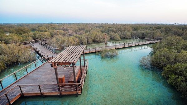 أمين عام «بيئة أبوظبي» في حوار مع «الاتحاد»: عاما الاستدامة يشهدان تحديثات للتشريعات البيئية لمواكبة المعايير الدولية