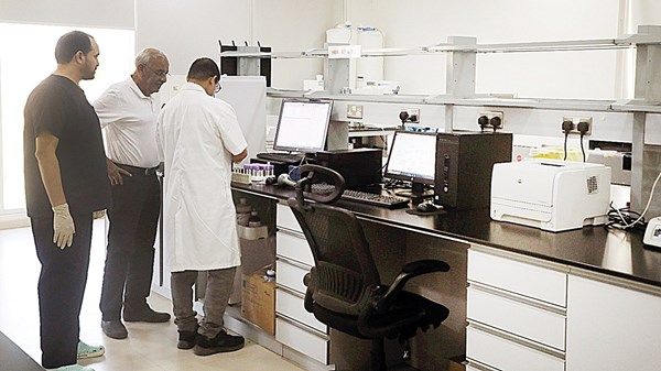 مركز الإمارات للهجن.. ريادة في نقل الأجنة وتطوير السلالات