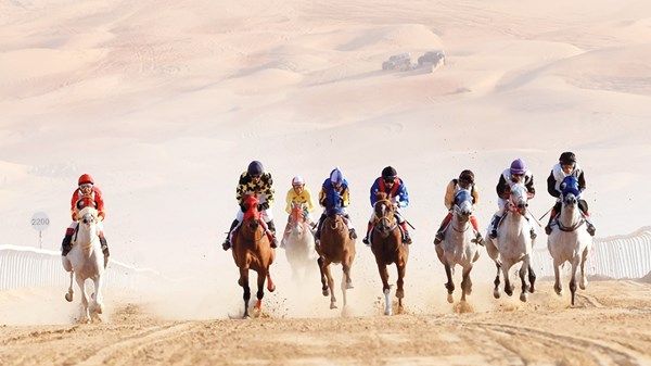 «مهرجان ليوا الدولي» يترقب منافسات «الخيول العربية»