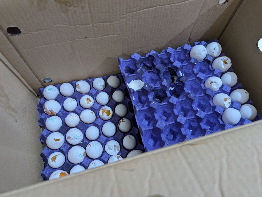 ضبط معمل مخبوزات ومصادرة 1.9 طن من المواد الغذائية الفاسدة بجدة