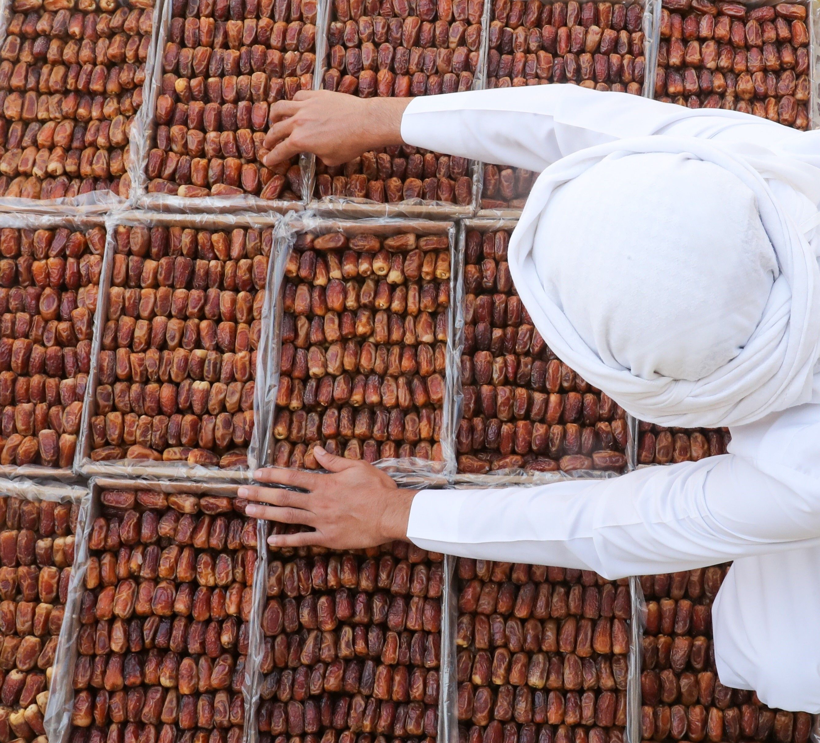 الامارات | برعاية منصور بن زايد.. انطلاق الدورة الأولى لمهرجان العين للتمور 3 يناير