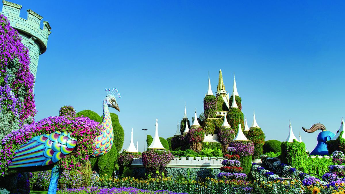 الامارات | «دبي ميراكل غاردن».. لوحة مرسومة بـ 150 مليون وردة