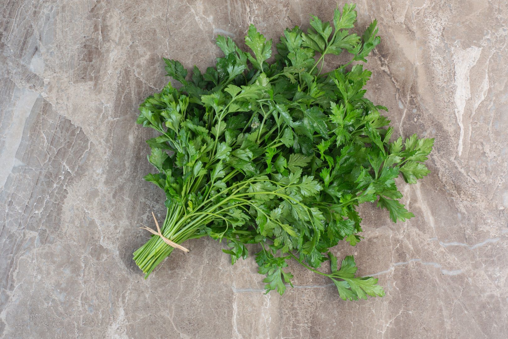 بخاخ البقدونس الطبيعي للشعر.. طريقة طبيعية لتقوية وتعزيز نمو الشعر