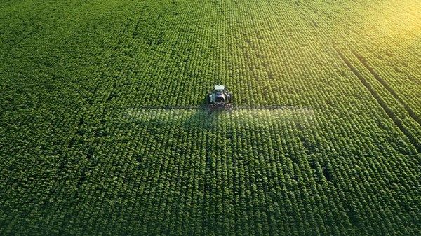 "الزراعة والسلامة الغذائية" تؤكد التزامها بتحقيق الأمن الغذائي المستدام في أبوظبي