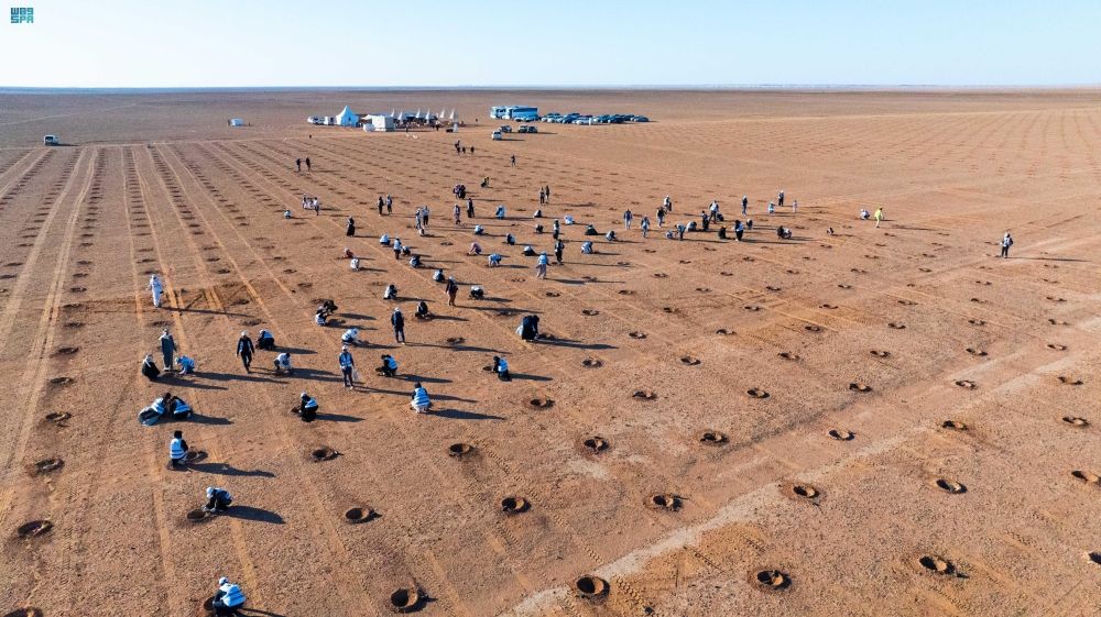 ضمن مبادرة "لتنمو".. زراعة 2000 شتلة في محمية الملك عبدالعزيز