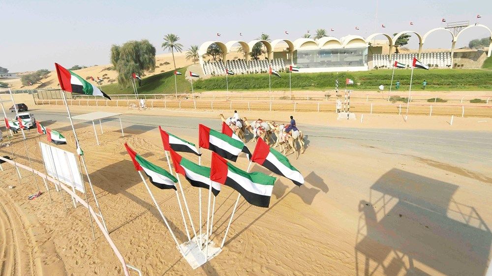 برعاية رئيس الدولة.. مهرجان محمد بن زايد للهجن العربية يدشن نسخته الـ14 اليوم
