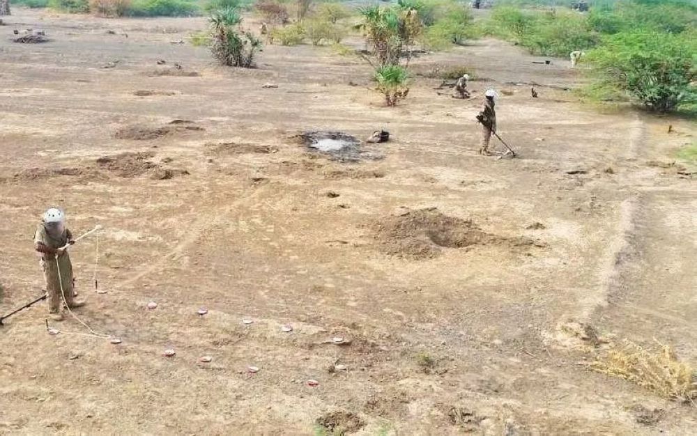 خلال 7 أيام.. مشروع "مسام" ينتزع 570 لغمًا في اليمن