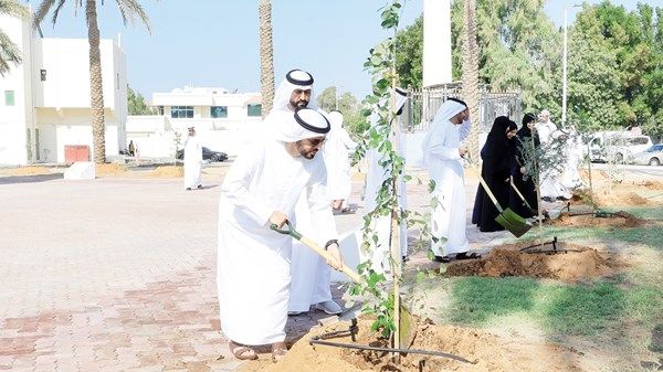 300 مسجد في المرحلة الأولى لـ«نزرع مسايدنا»