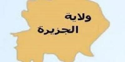 منصة “مؤتمر الجزيرة” تتهم قوات الدعم الدعم السريع بنهب 60% من الثروة الحيوانية