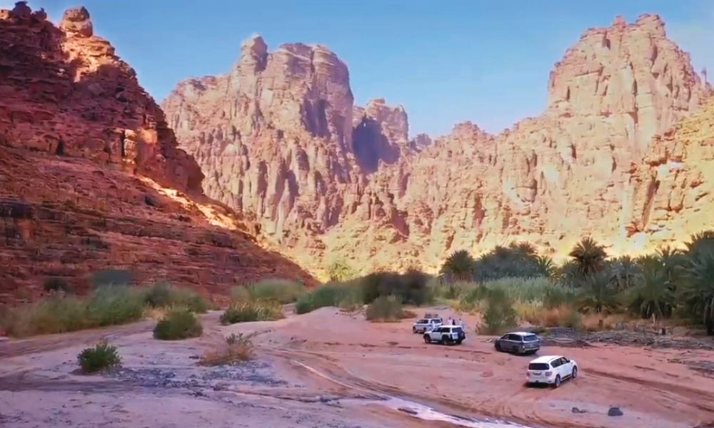 "الصحي السعودي": أهم الإرشادات لتجنب المخاطر في رحلات التخييم