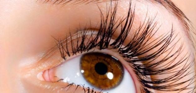 الامارات | دراسة: وظيفة جديدة لرموش العين