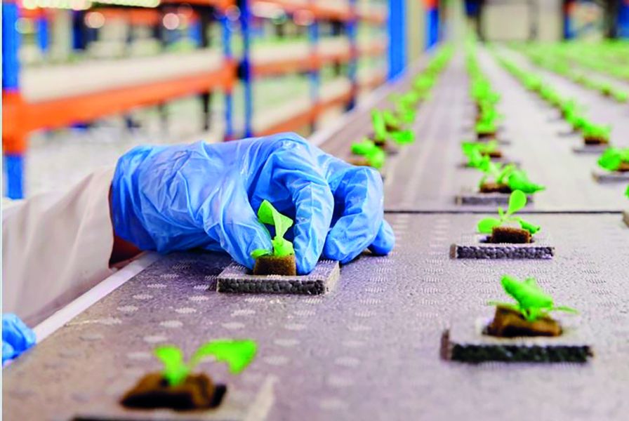 الامارات | «بستانك» في دبي.. خيرات فائقة النضارة على مساحة 330 ألف قدم مربعة