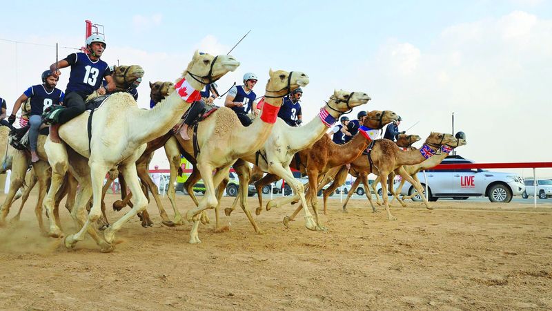 الامارات | «مضمار اللبسة» يستقبل ماراثون رحلة الهجن