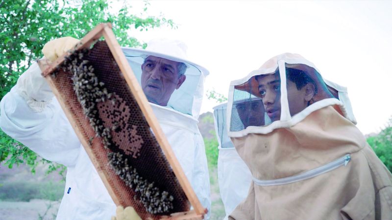 الامارات | المهرجان الأبرز لدعم النحالين الإماراتيين.. حلاوة حتا متوّجة بالعسل