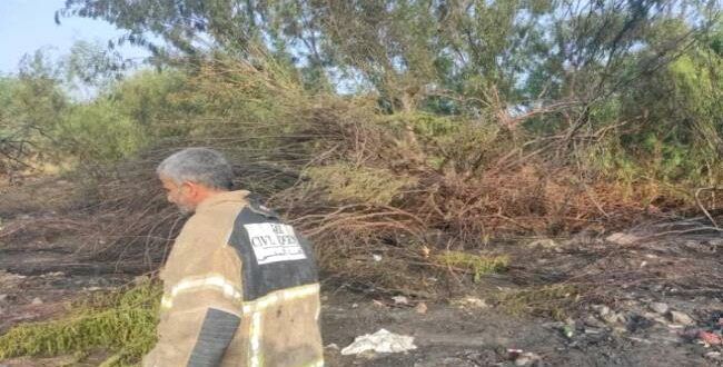 حريق يلتهم محمية الحسوة الطبيعية في عدن و هذه الأسباب