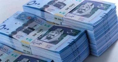 سعر الريال السعودى اليوم الأحد 29-12-2024